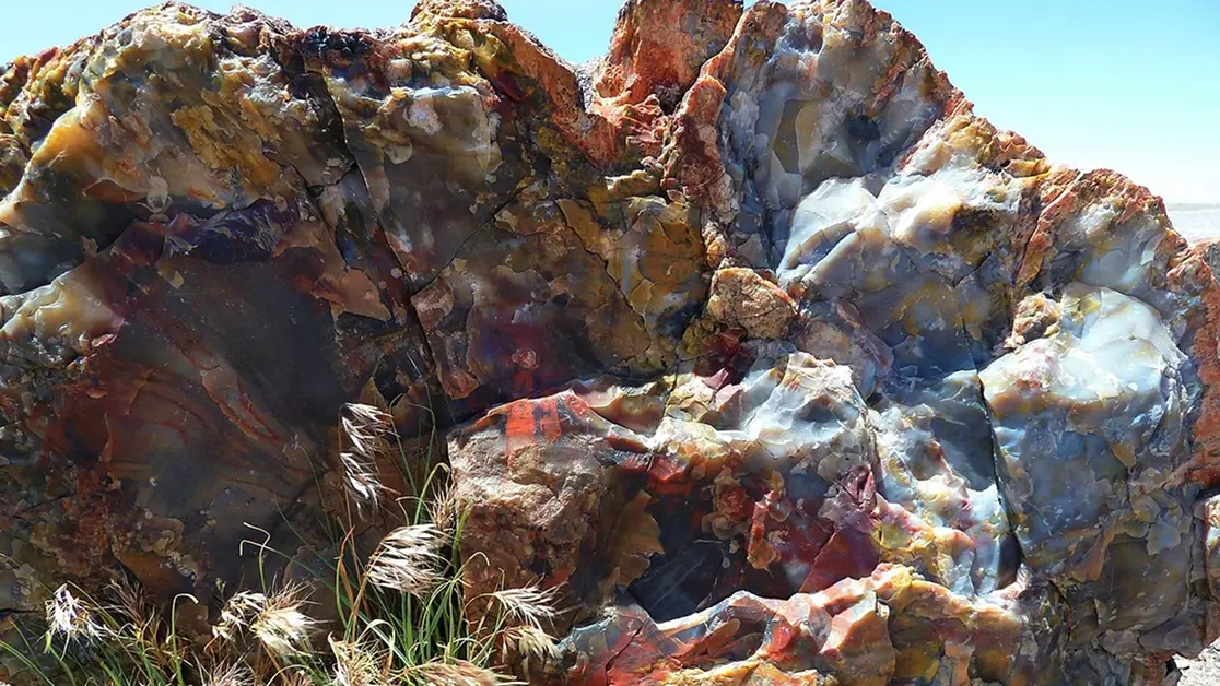 Our foundations for long-term success: