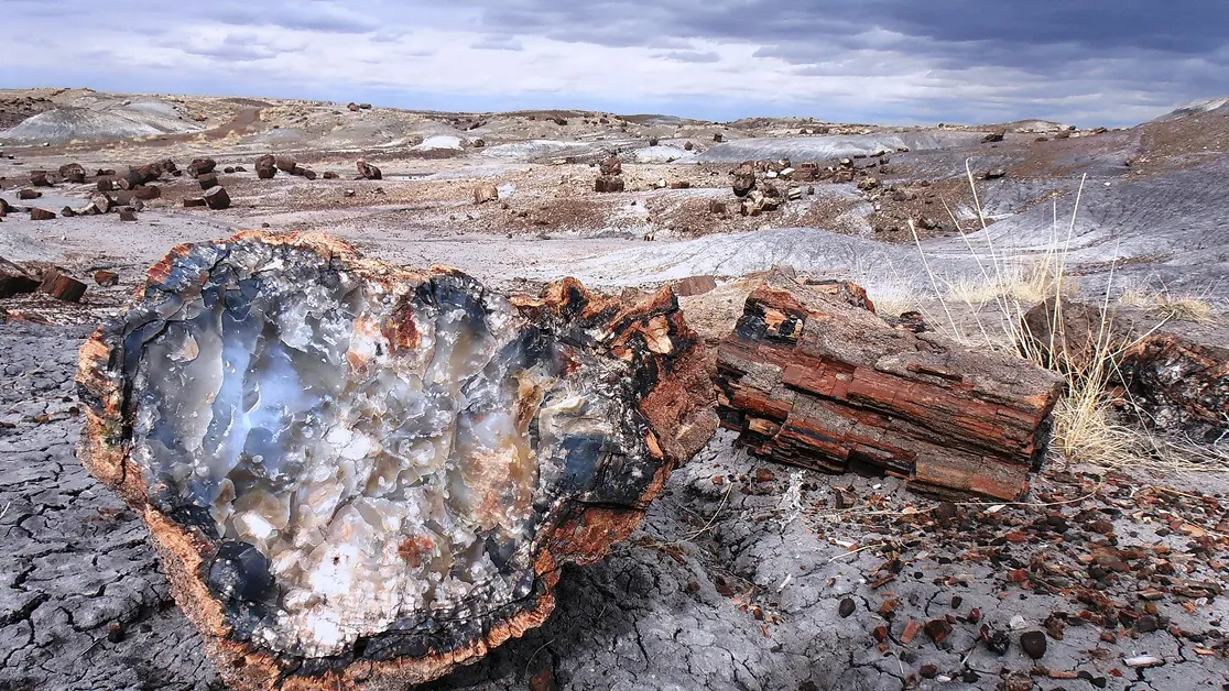 Our desired culture at Rockwood Strategic